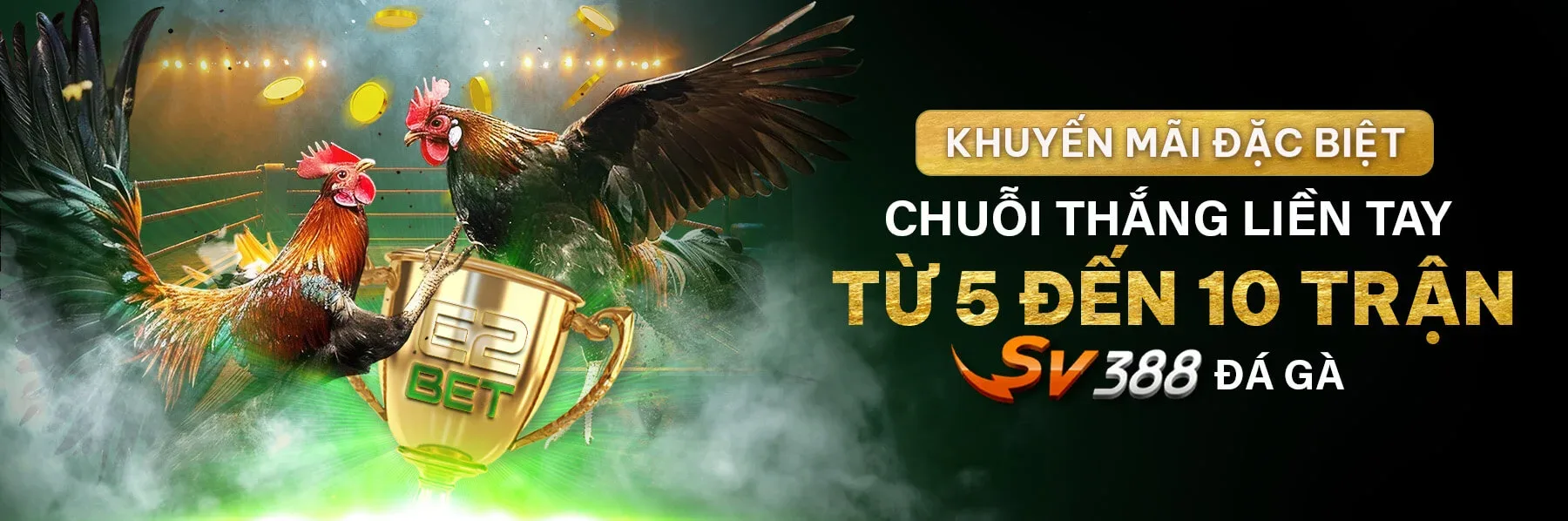 VIP Bonus Banner